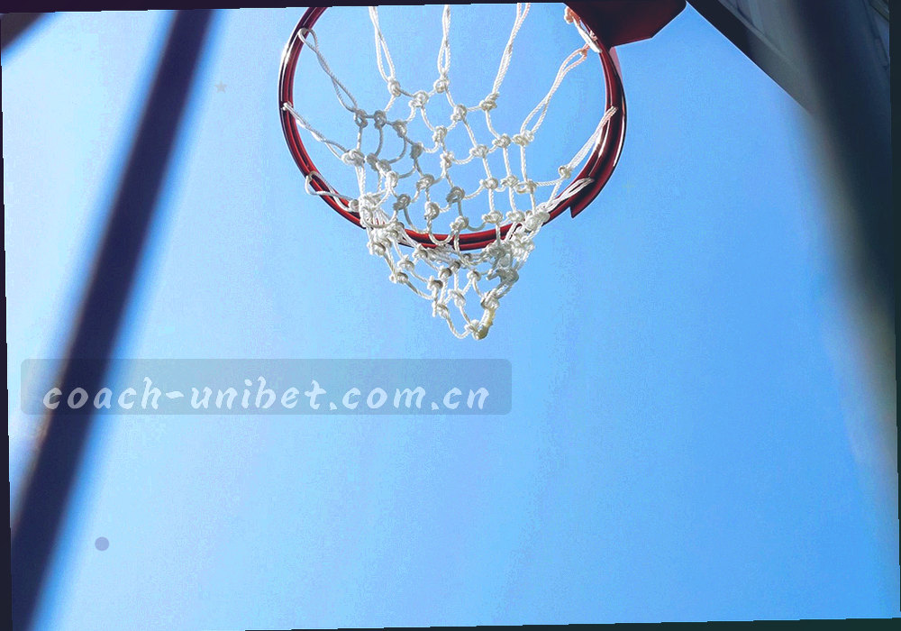 抽象传球网络与成功率圈层示意，细线连接各个位置节点